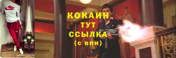 гидра Богородицк