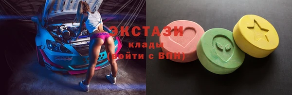 гидра Богородицк