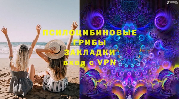 гидра Богородицк