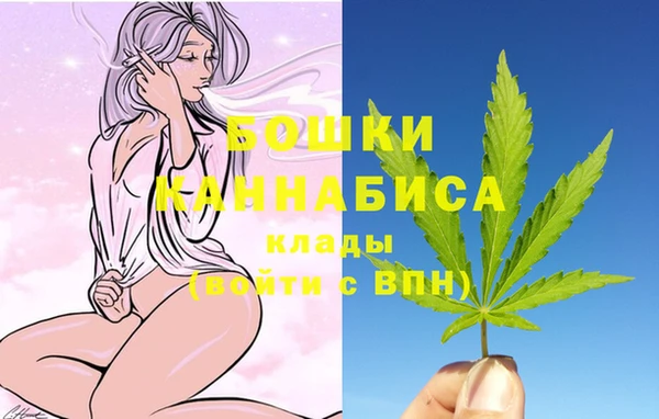 гидра Богородицк